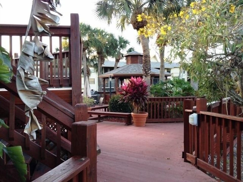 Our grounds