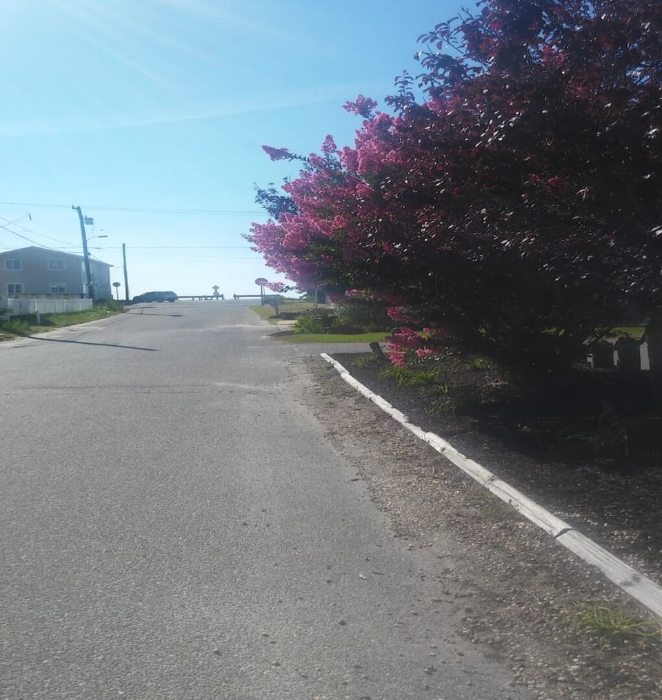  street in front of my  house to the bay 100 steps away.
