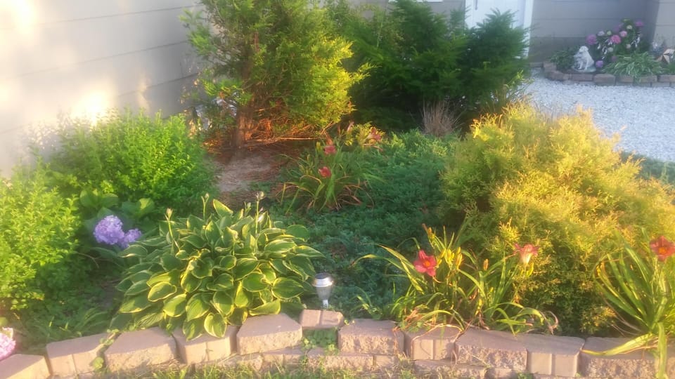 Our flower garden