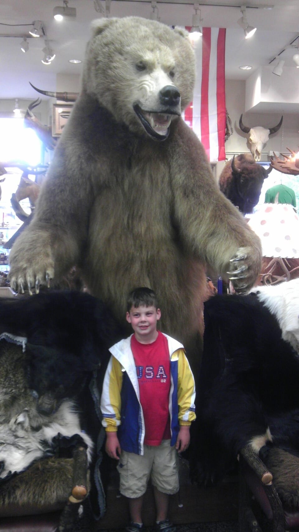 Shopping with the Wildlife/Jackson Town Square