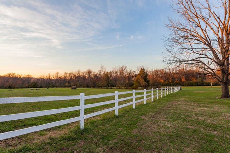 Pasture behind main house view