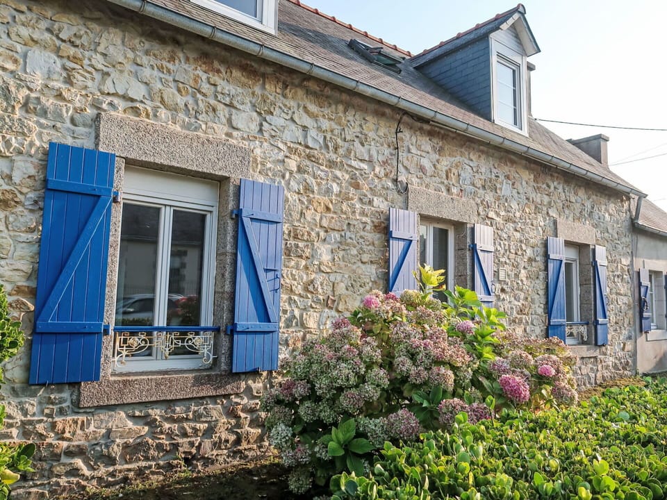 Plant, Flower, Window, Building, Sky, Blue, Cottage, House, Door