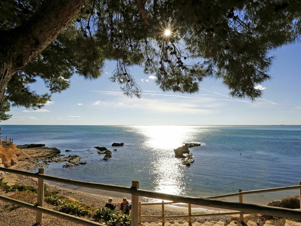 Sky, Water, Sea, Cloud, Ocean, Tree, Coast, Morning, Wilderness, Shore