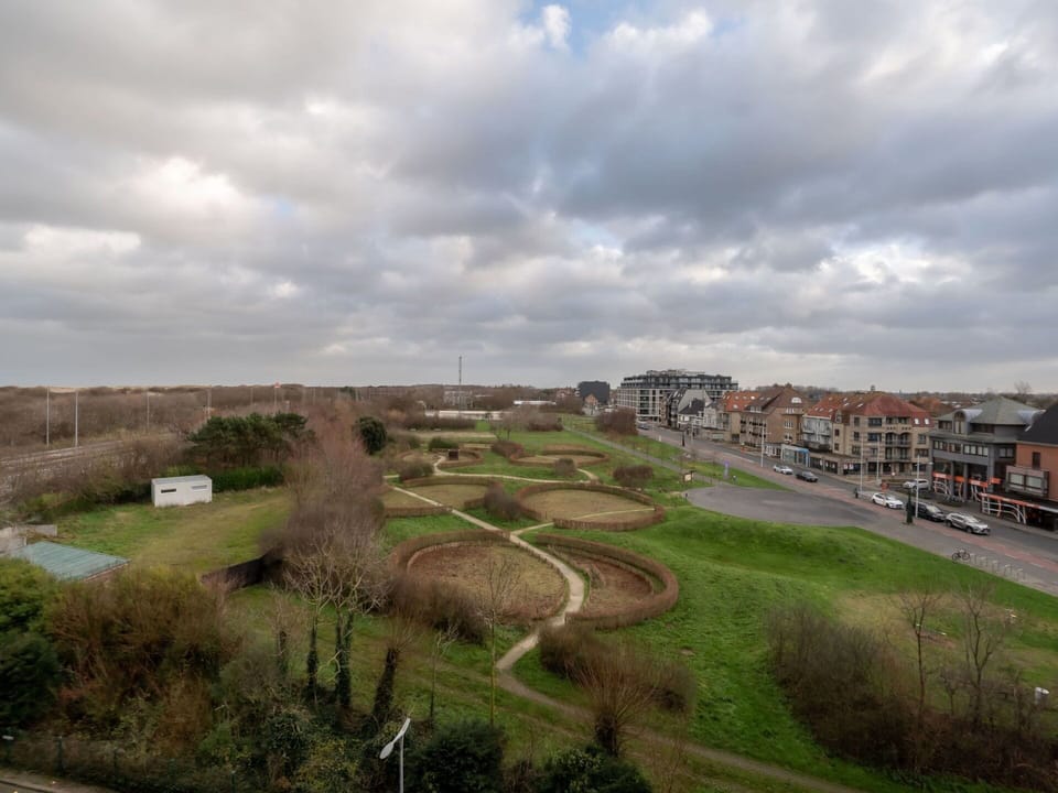 Grass, Land Lot, Plain, Groundcover, Soil, Landscaping, Walkway, Trail, Park