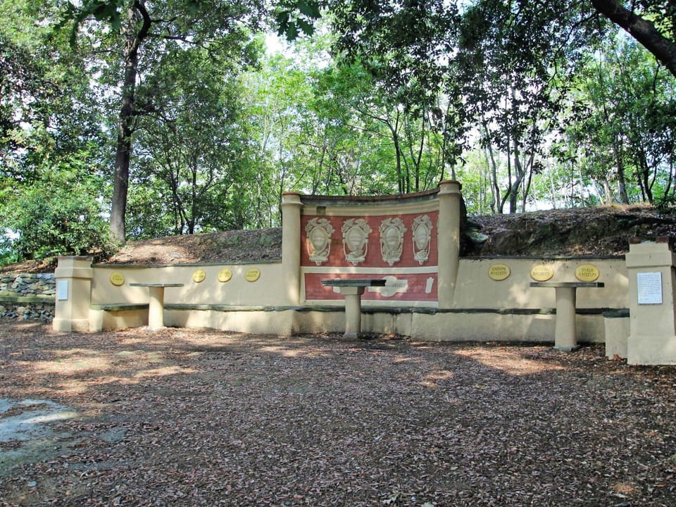 Plant, Shade, Tree, Land Lot, Natural Landscape, Landscape, Road Surface, Leisure, Asphalt, Recreation
