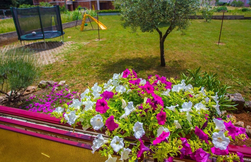 apartments koseto with garden