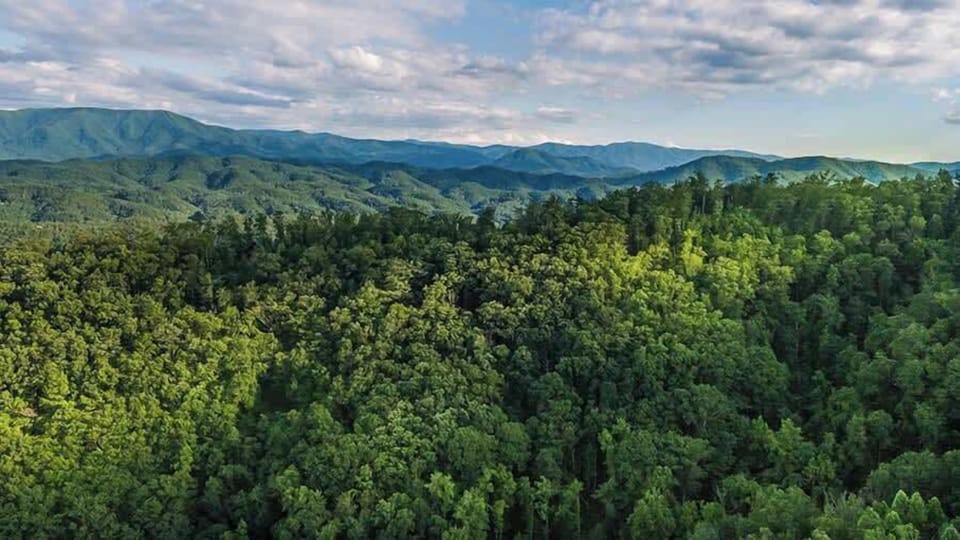 Great Smoky Mountains - view from deck
