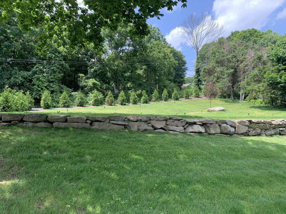 View of the newly landscaped side yard