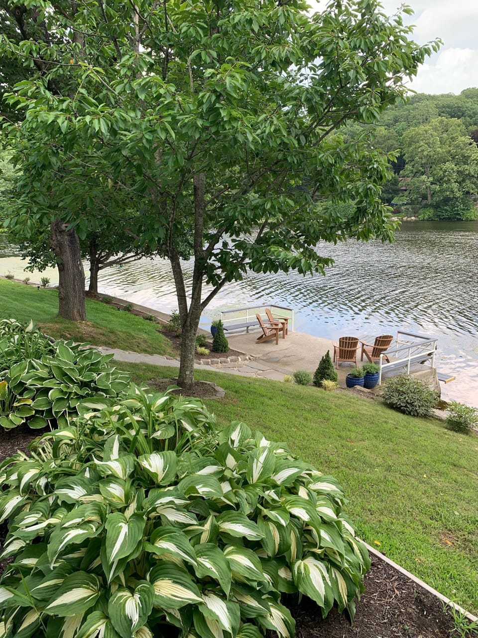 View from the swing under the deck
