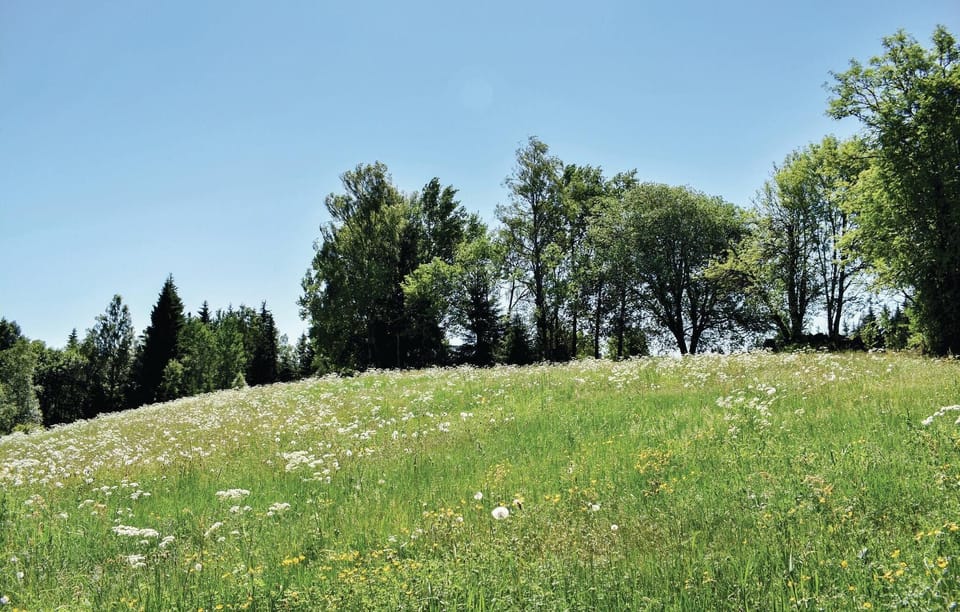 area