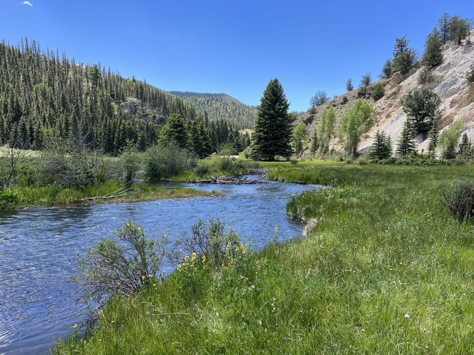 Rio Costilla near the Valle Vidal nature preserve and Turner’s Vermejo Ranch.