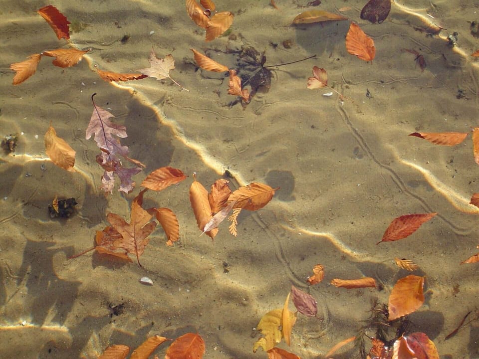 Sandy Lake Bottom and Crystal Clear Water