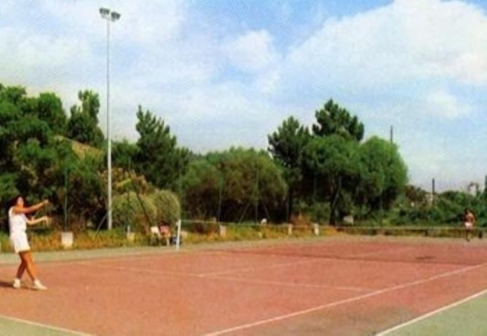 Sport court