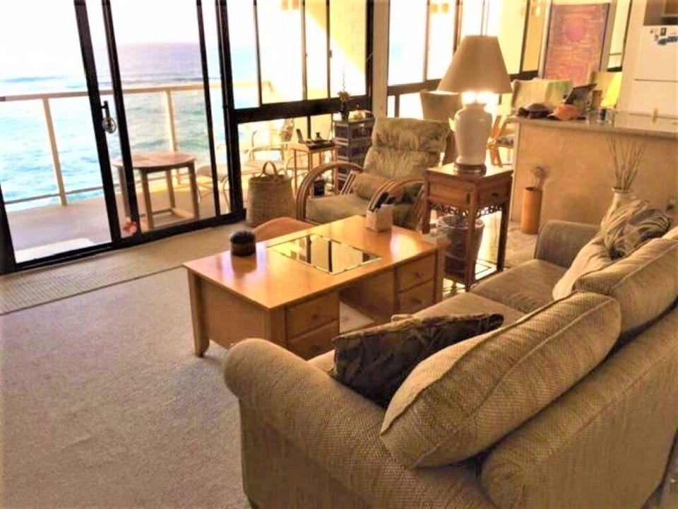 Watch the ocean: turtles, dolphins, whales (winter),  surfers, from living room.