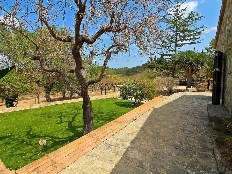Property, Tree, Real Estate, Grass, Estate, Spring, House, Building, Architecture, Home