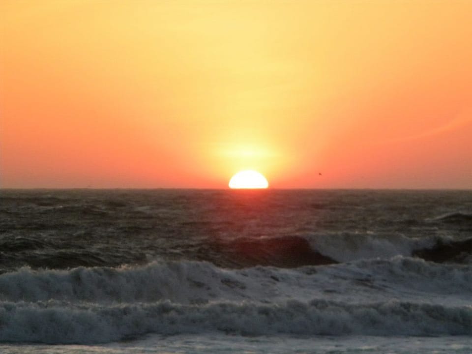 1102 Sunset 