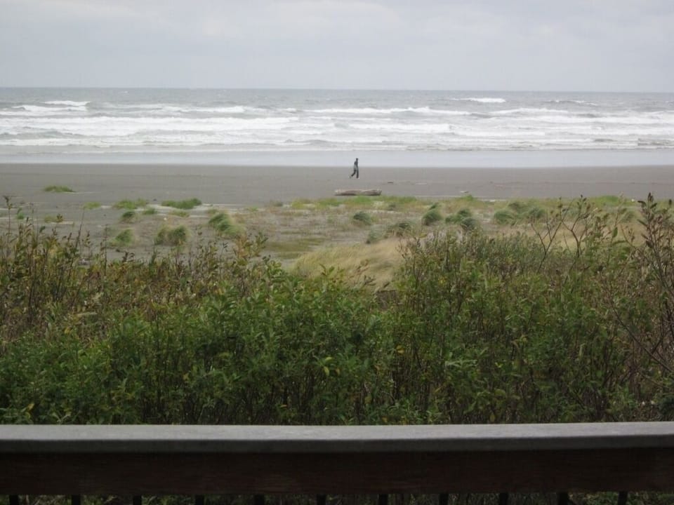 A walker on the beach. The beach is very close.