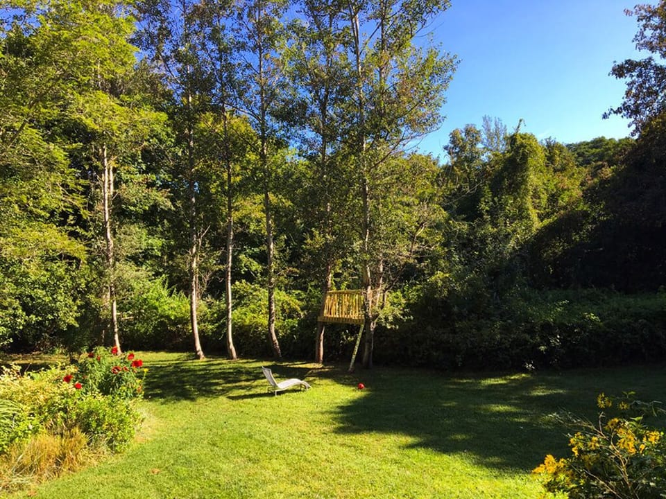 Park-like setting with treehouse (adult supervision suggested)