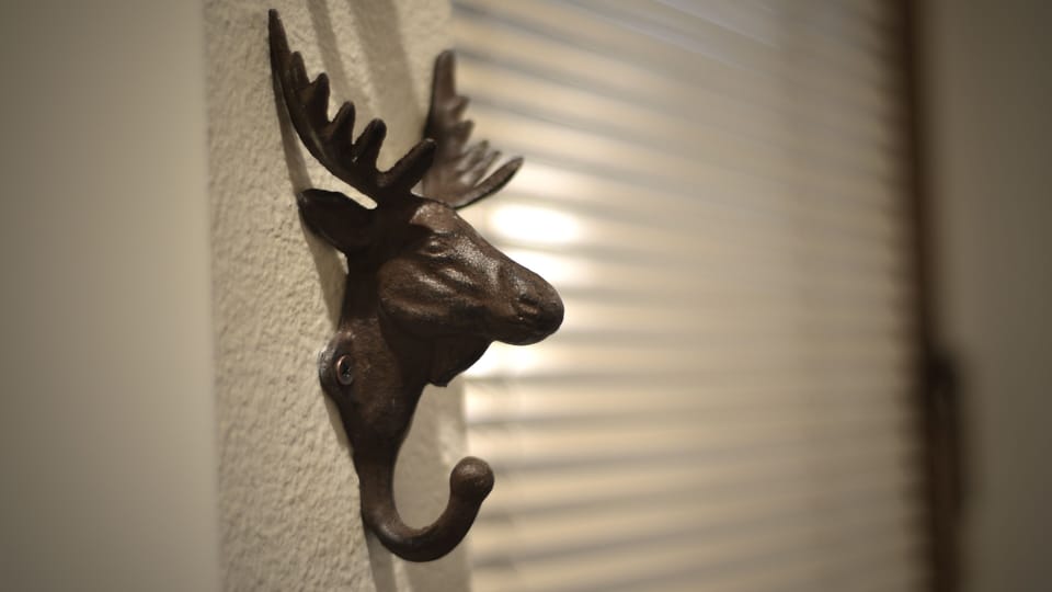 You may see a moose or two!