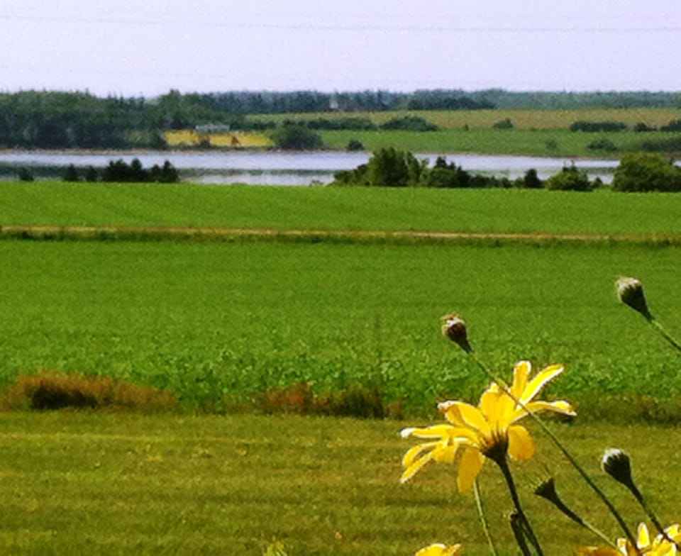 View from the front deck
Beautiful and relaxing