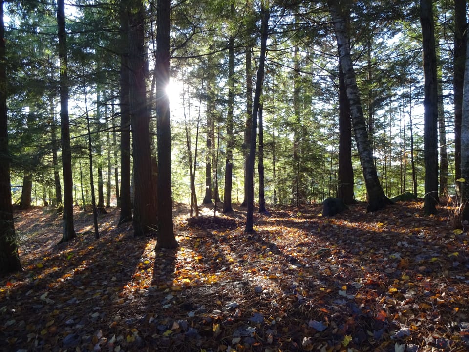 ...or become one with nature.