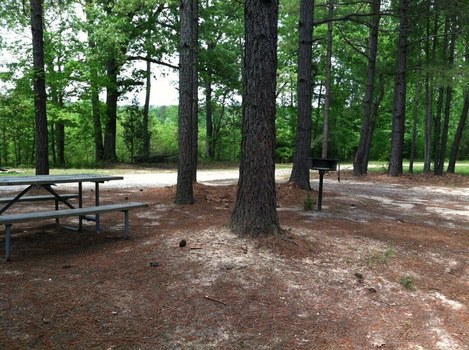 PRIVATE PICNIC TABLE W/BBQ GRILL OUTSIDE OF CABIN, FIREPIT ACROSS PATH