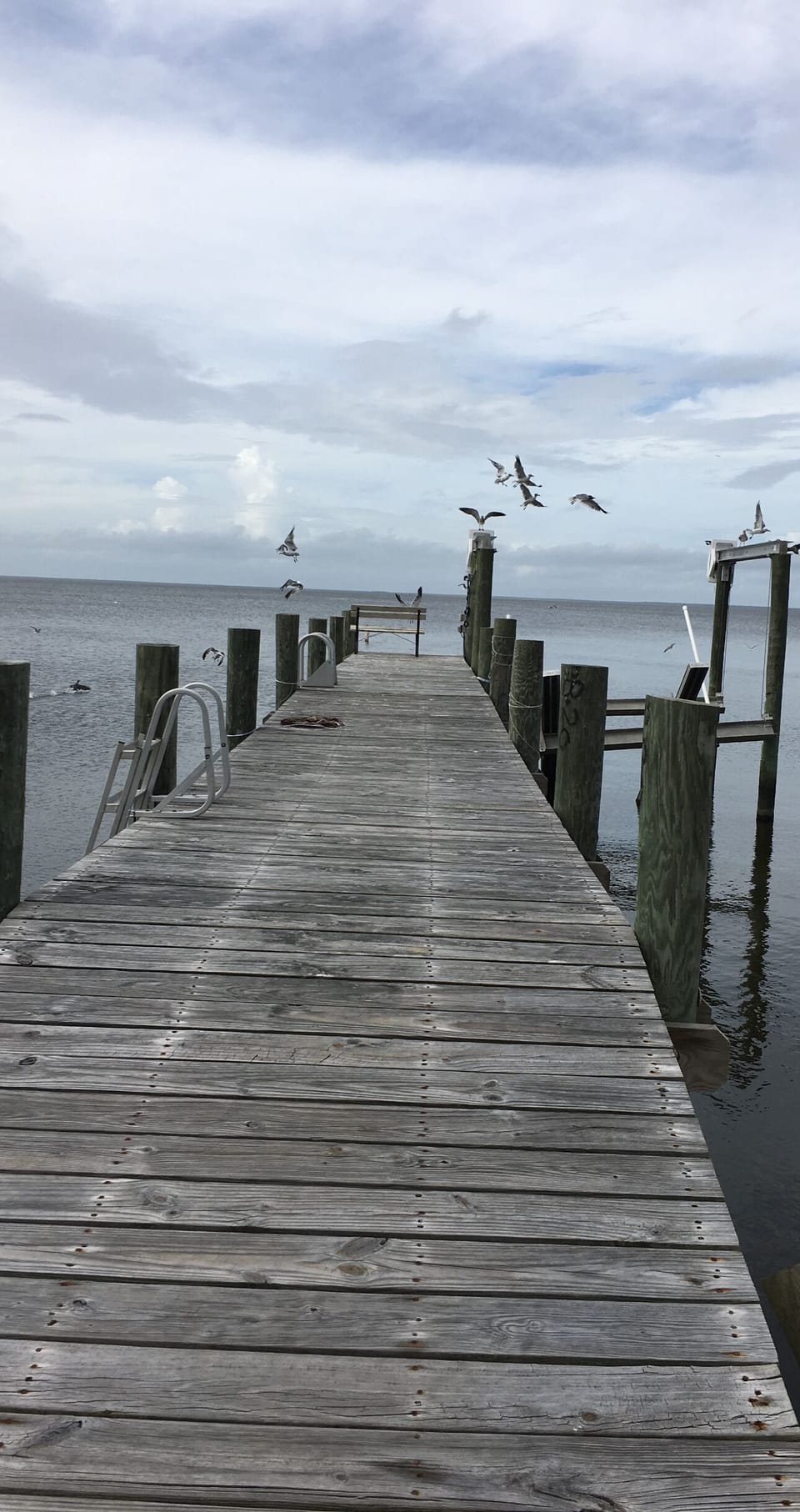 Your private dock at your back door 