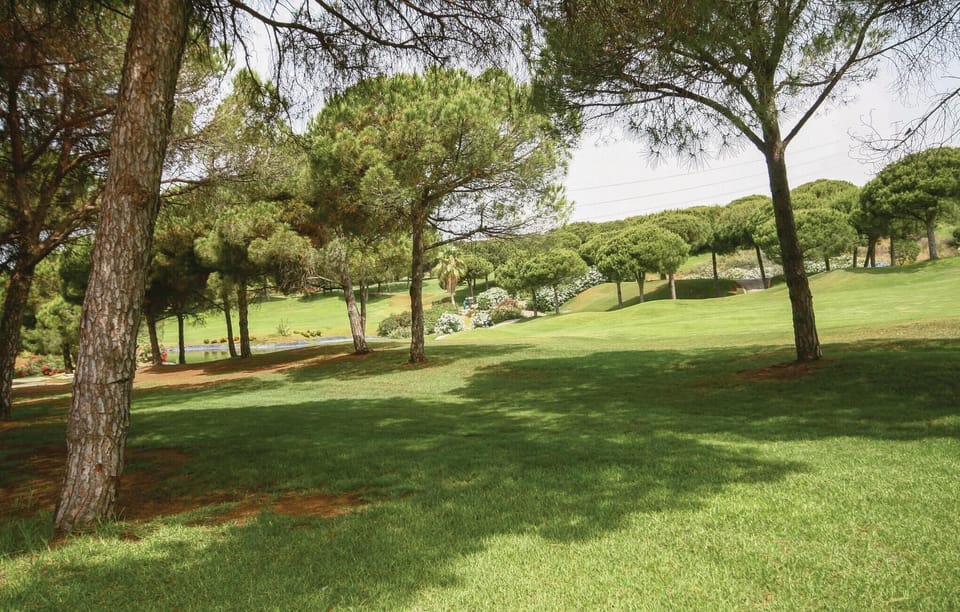 area