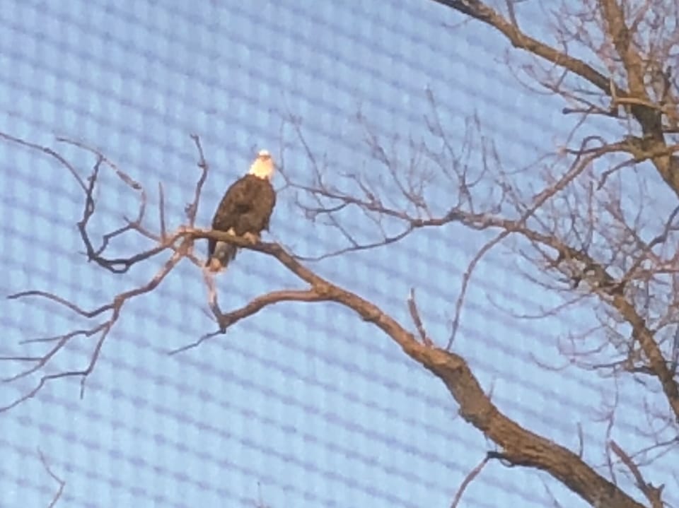 View from the bedroom.