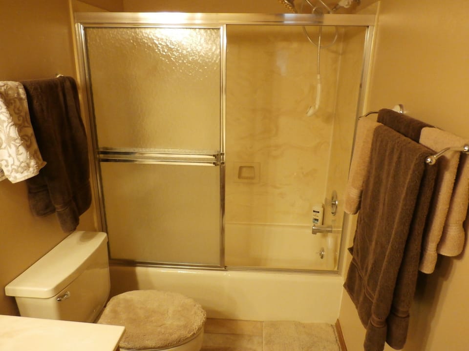 Guest- Hall Bathroom