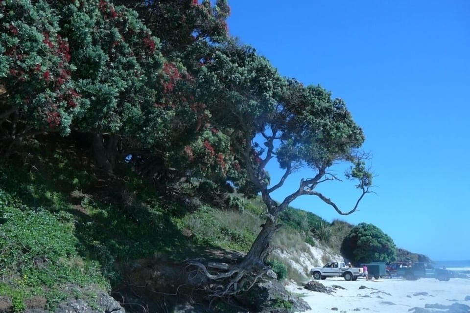 Rarawa Beach