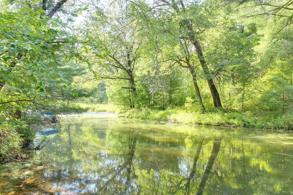 Pickerel Slough-Canal of Mirror Lake