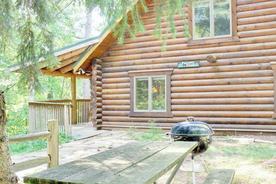 Picnic Table & Charcoal Grill