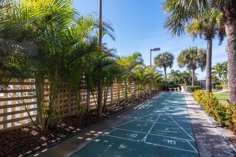 Sport court