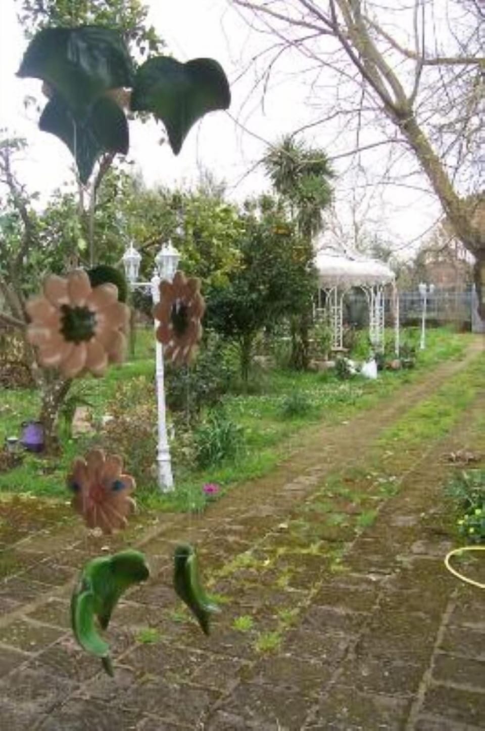 Garden, Park