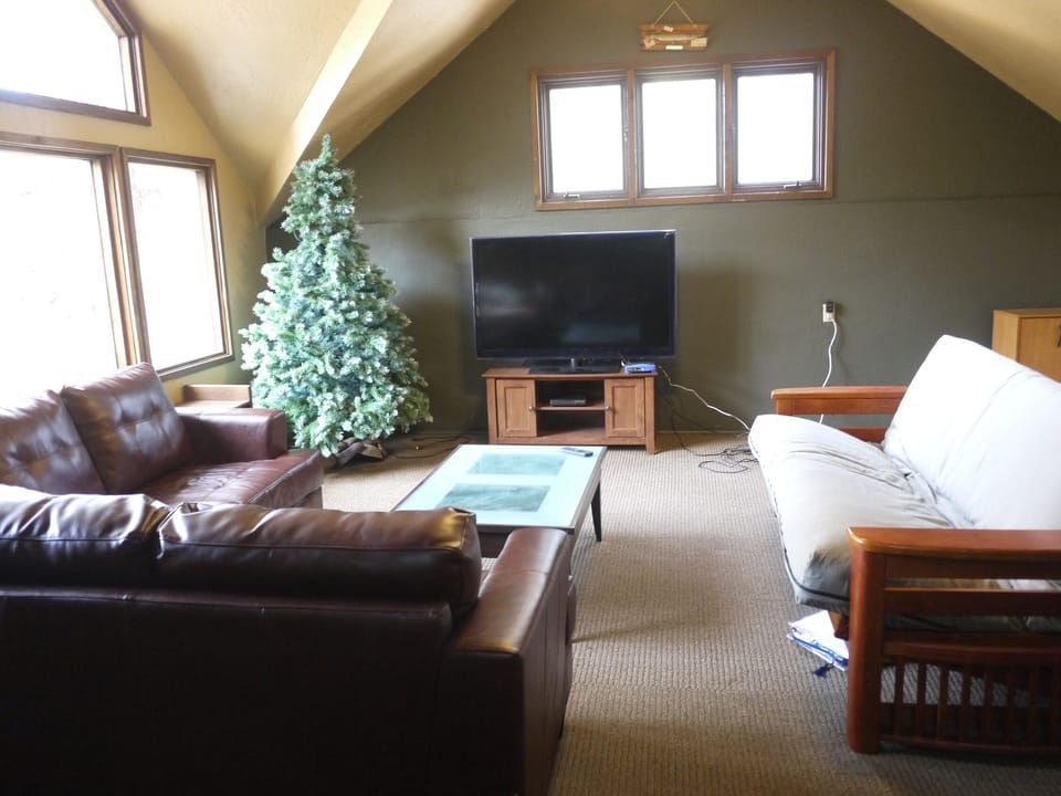 TV and lounging area.