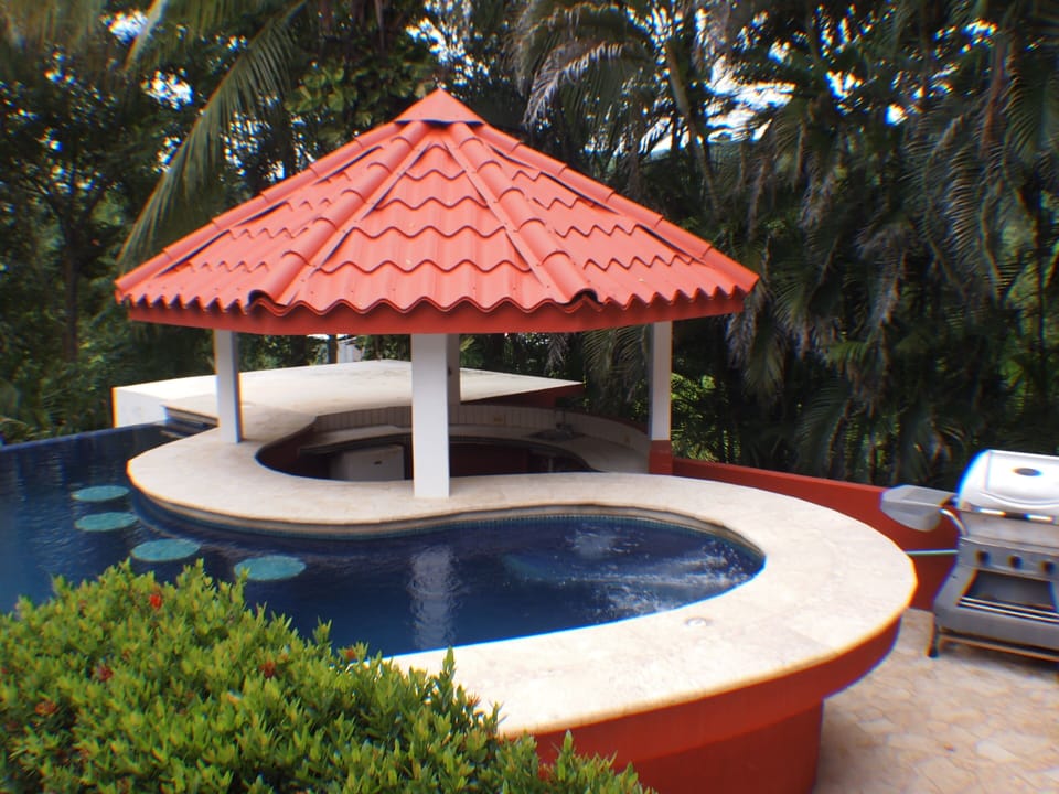 Swim up Palapa with cool water jacuzzi