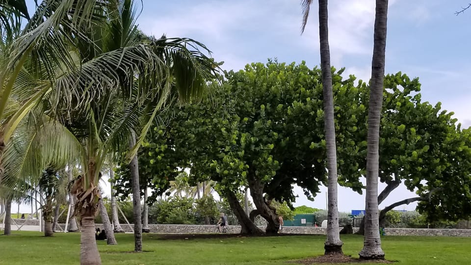 OCEAN DRIVE IN FRONT OF THE BUILDING