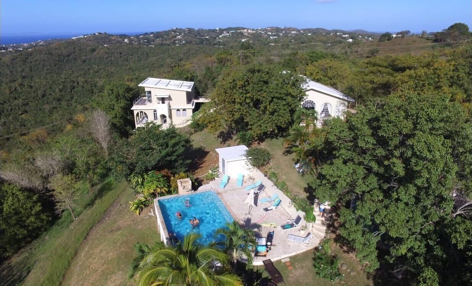The property view 