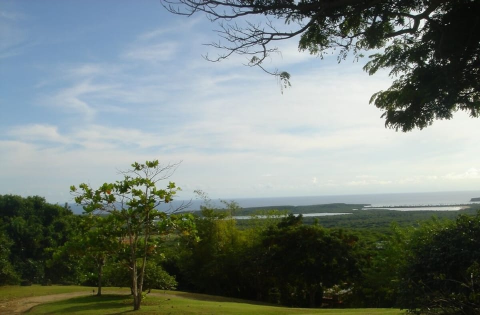 View of Bioluminescent Bay to South