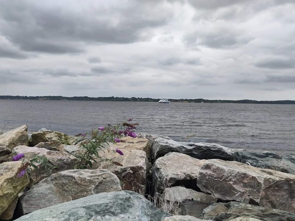 Water view