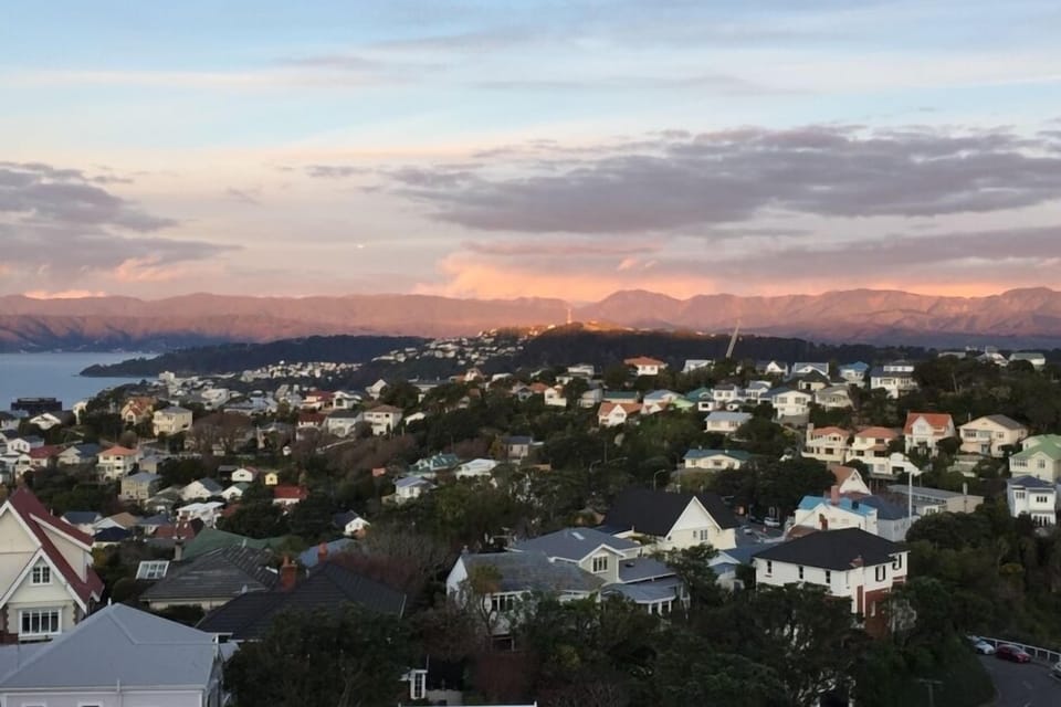 View over Kelburn andamp; Wellington