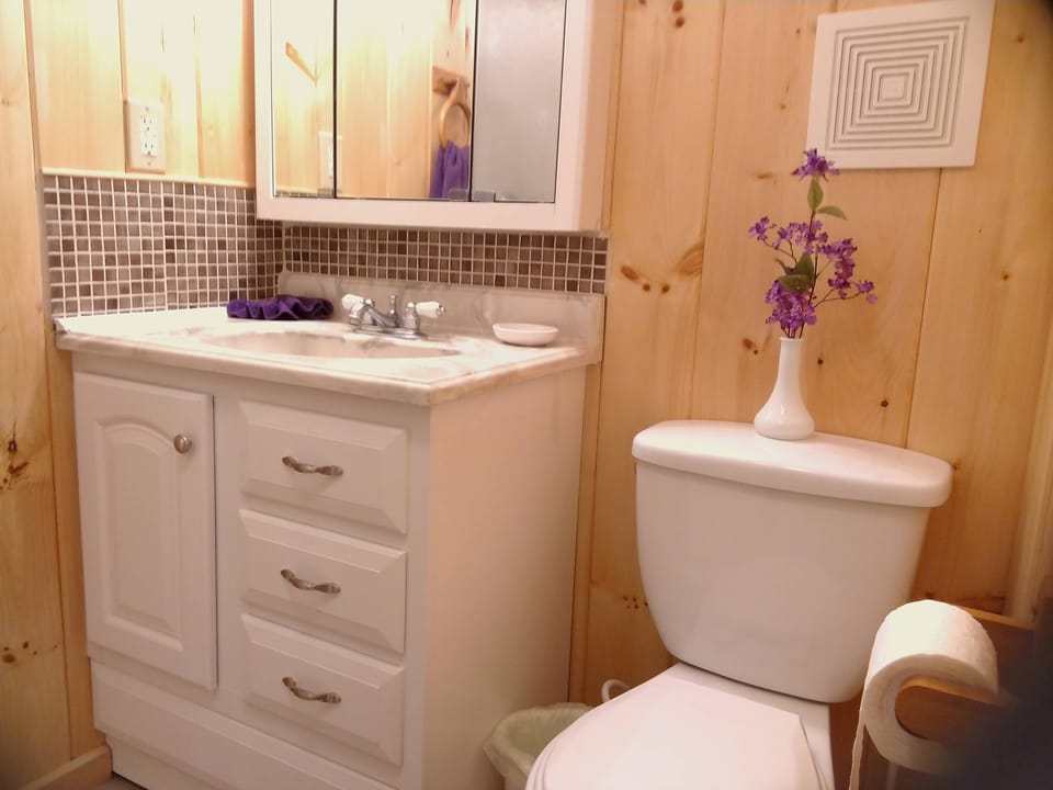 2nd Bedroom with on-suite bathroom with shower