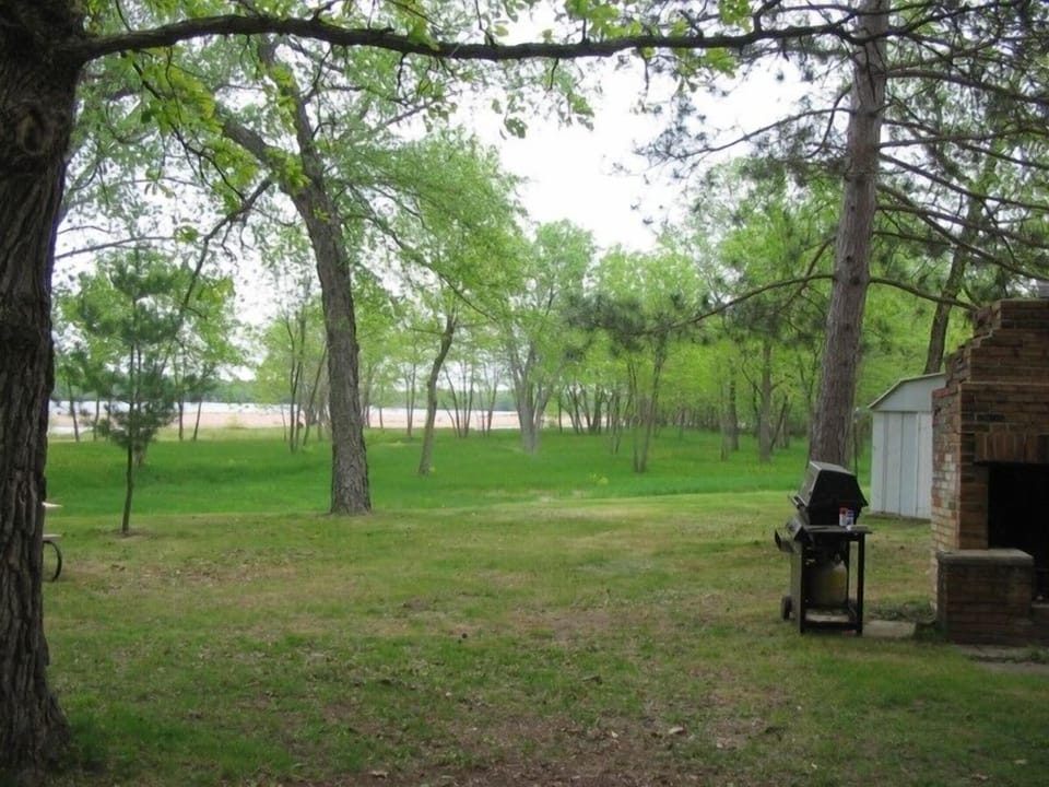 Downriver through the trees