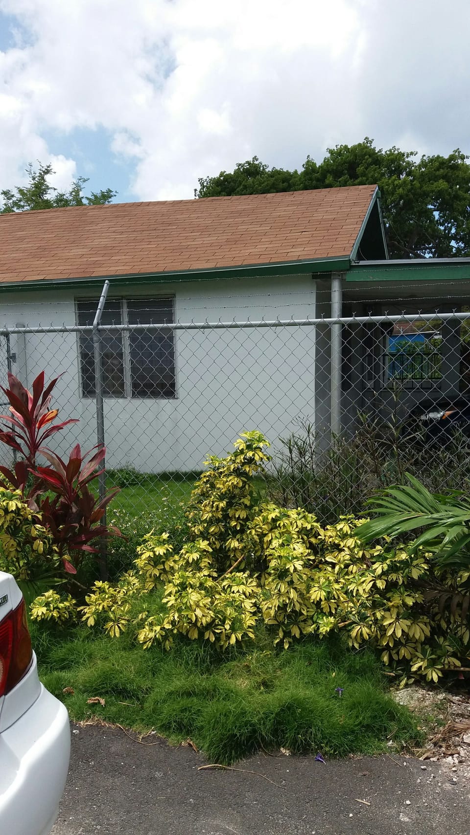 Home next door