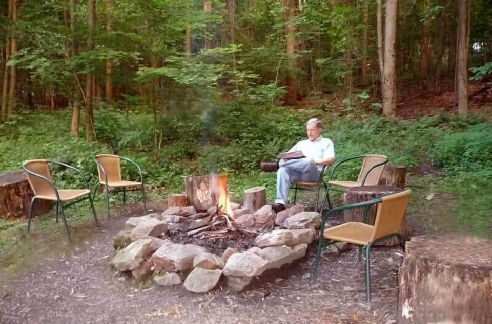Forested acreage surrounds fire ring behind cabin 