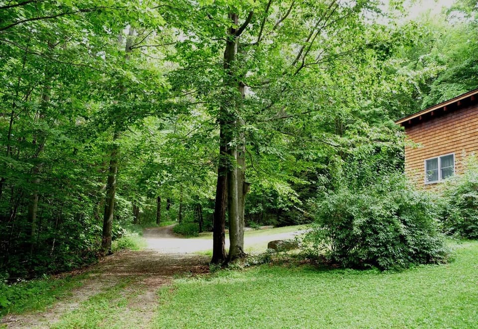 Looking back, walking toward Moshannon state forest 