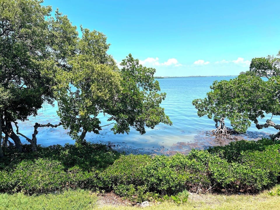 Bay Views