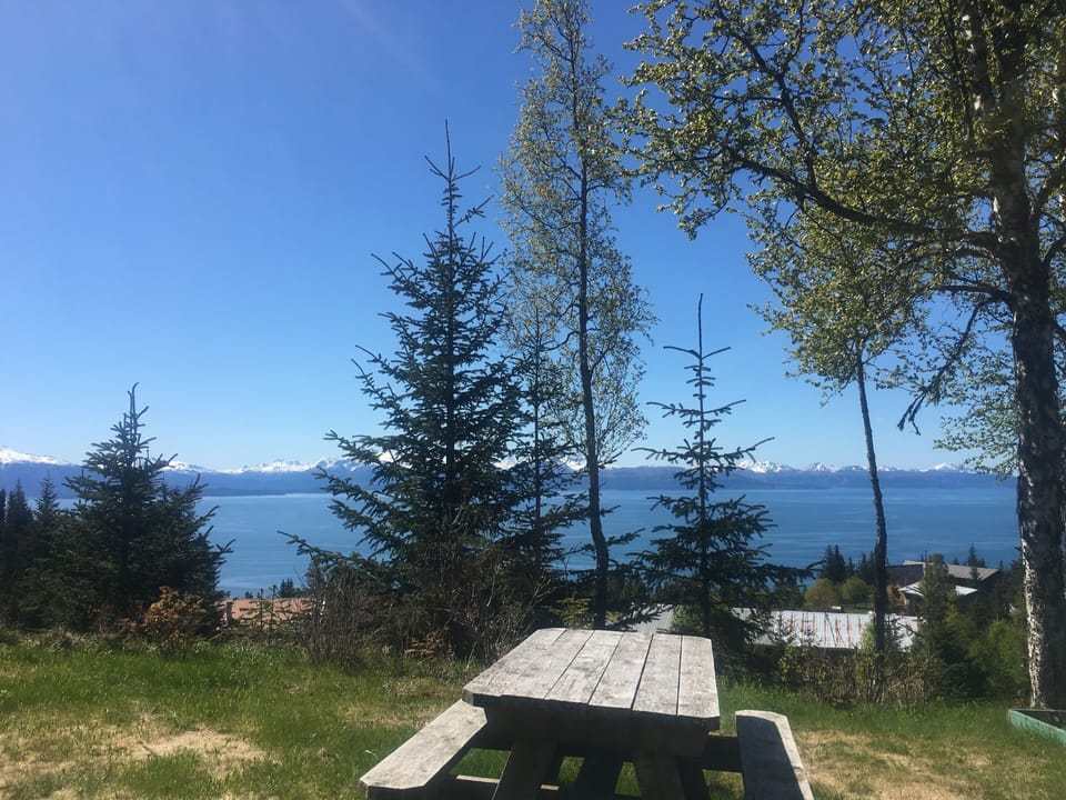 View from picnic table