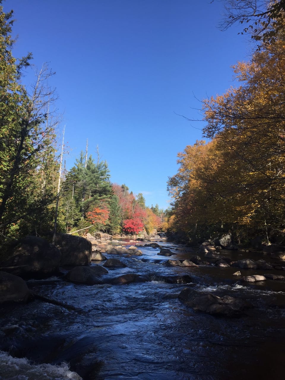 Trail along Moshier falls/Beaver canoe trail